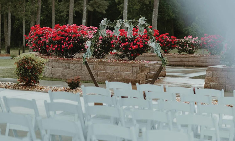 Rose Garden and Chairs